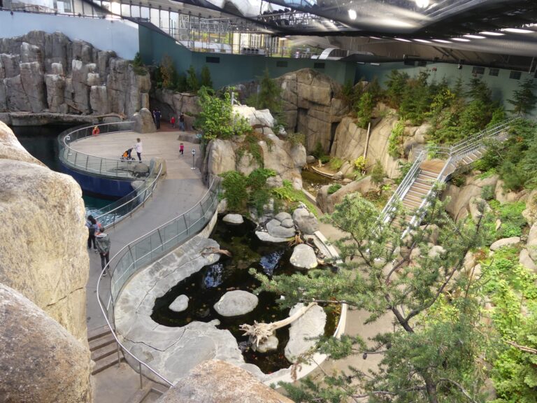 P1110524 scaled 1 768x576