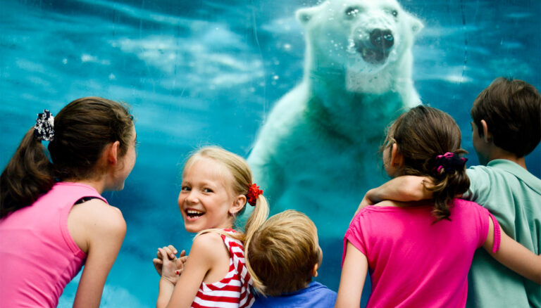 zoo sauvage de st felicien 01 768x438